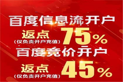百度广告推广费用案例分析：效果与投入的平衡